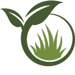 Plant Repotting Service Pros