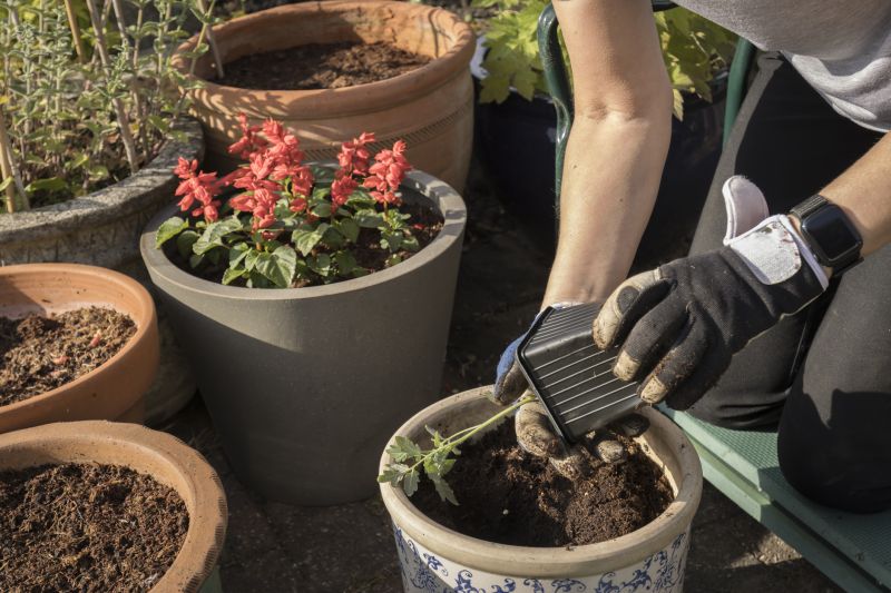 Plant Repotting Service detail