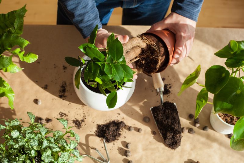 Gardening Service